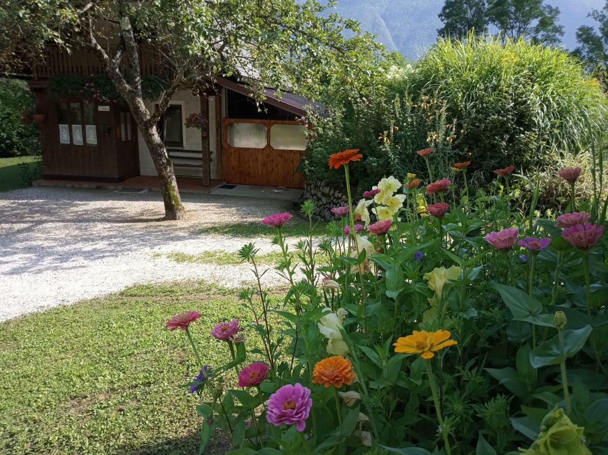 Holiday house Zeleni gaj Bovec Buitenkant foto