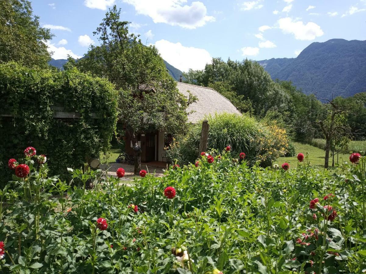 Holiday house Zeleni gaj Bovec Buitenkant foto